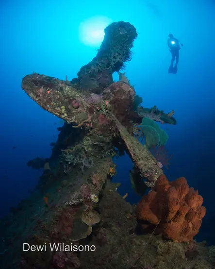 Gorontalo 2